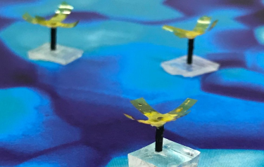 Image courtesy of Eindhoven University of Technology Image courtesy of Eindhoven University of Technology